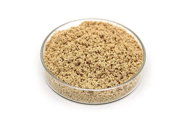 Resins for Multi-Bed & Float-Bed Systems