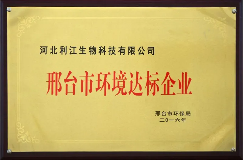Key Enterprise of Xingtai City