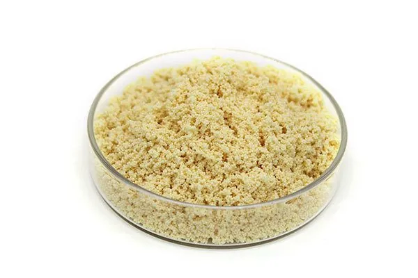 Macroporous Adsorption Resins